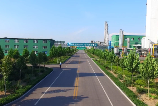 山西鹏飞焦化绿色发展有限公司捣固焦化项目